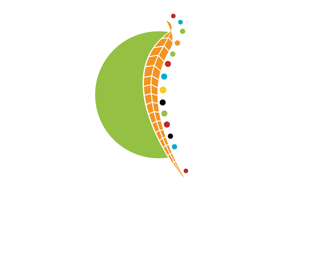 Bidgerdii Community Health Service