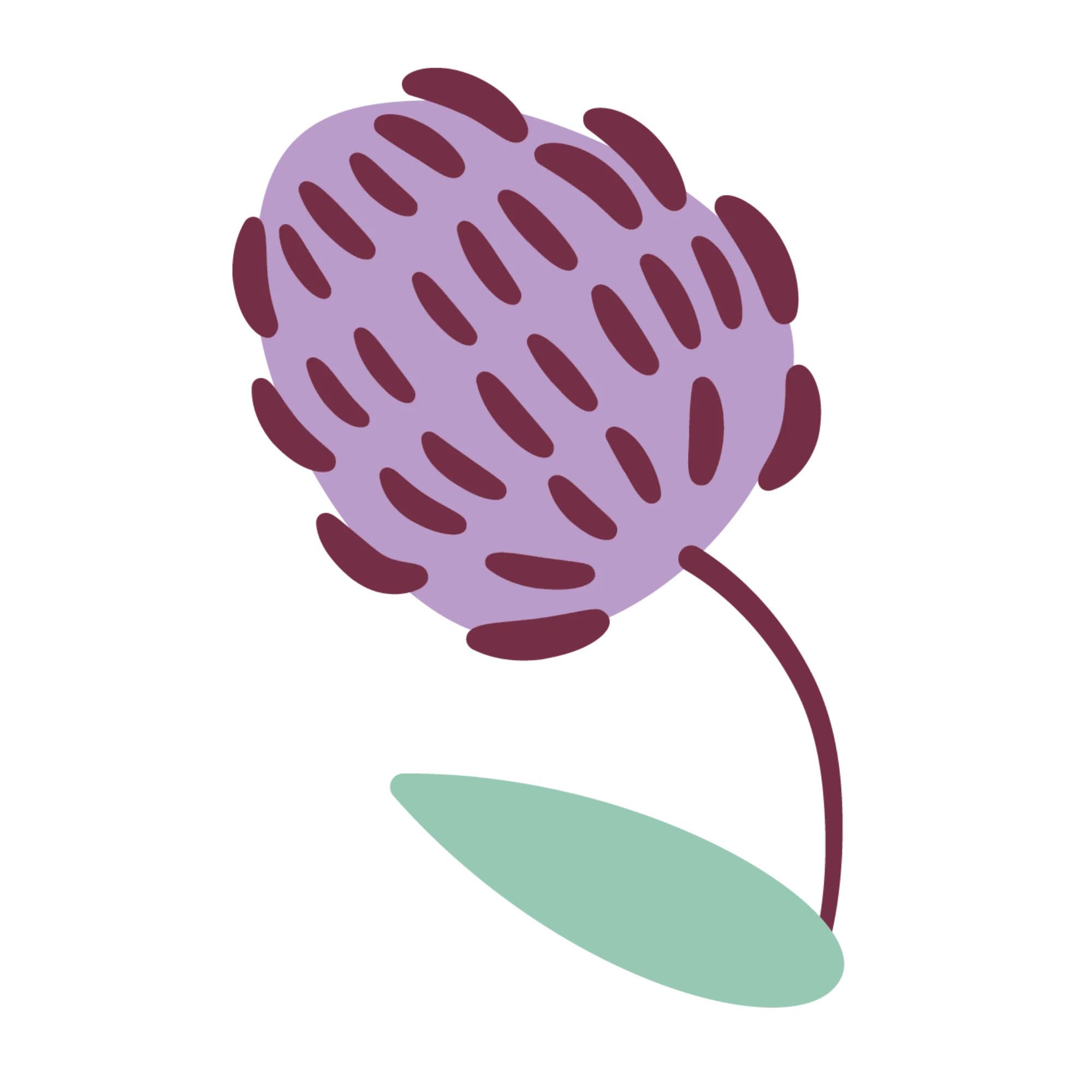 Secondary Assets 01